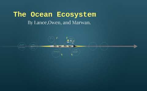 Ocean Ecosystem by Marwan Bit on Prezi