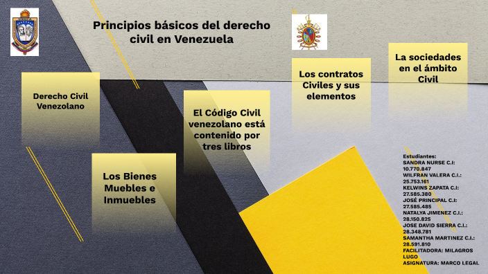 Ley Del Ejercicio De La Ing En Venezuela By Jose Miguel Principal Gil