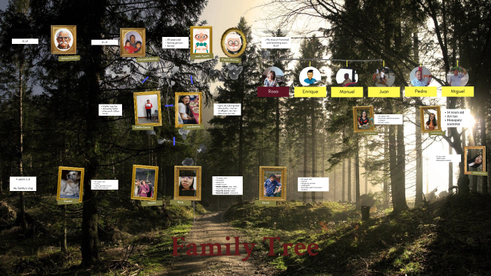 My family tree by ruth garcia on Prezi
