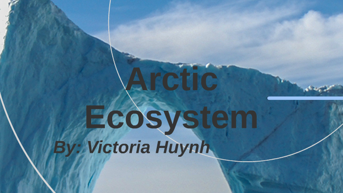 Arctic Ecosystem by Victoria Falls on Prezi