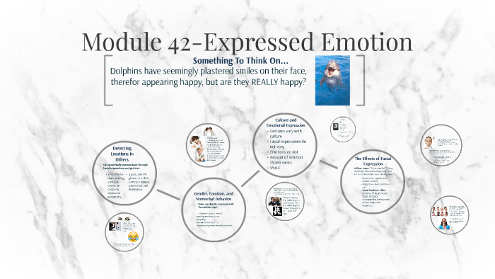 Module 42 Expressed Emotion By Mattie Allison