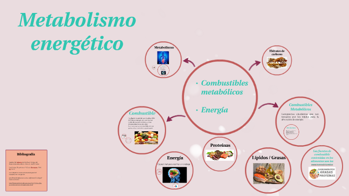 Metabolismo Energético By Luz Berenice García Ramirez On Prezi 9915