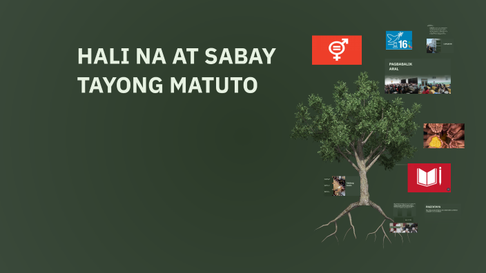 Sustainable Development at ASEAN by James Ven Fuentes on Prezi