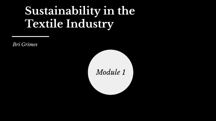 Sustainability Within The Textile Industry By Bri Grimes On Prezi