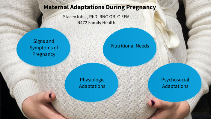 Adaptations Of Pregnancy By Stacey Iobst On Prezi