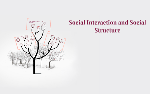 Social Interaction and Social Structure by Kate Kopachevsky on Prezi