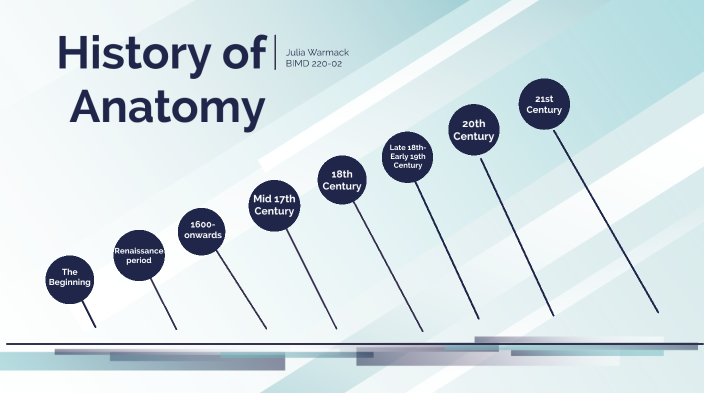 History of Anatomy by julia warmack on Prezi