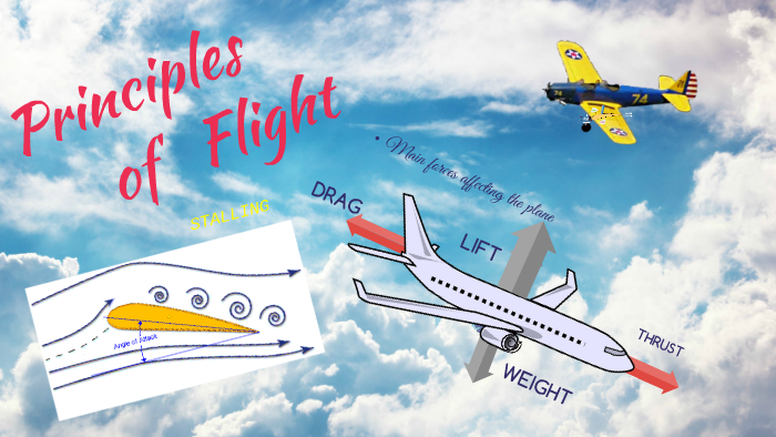 Principles of Flight by Aleksandar V on Prezi