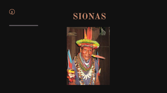 Sionas by Carlos Eduardo on Prezi