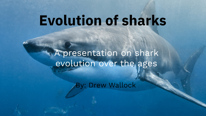 Evolution of sharks by Andrew Wallock on Prezi Next