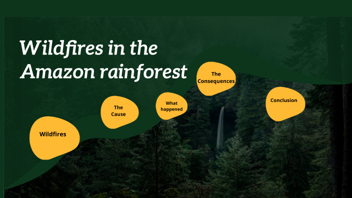 Wildfires in the Amazon rainforest by Zoe Tótaro on Prezi