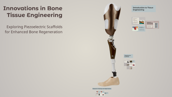 Innovations in Bone Tissue Engineering by Raj Pandya on Prezi