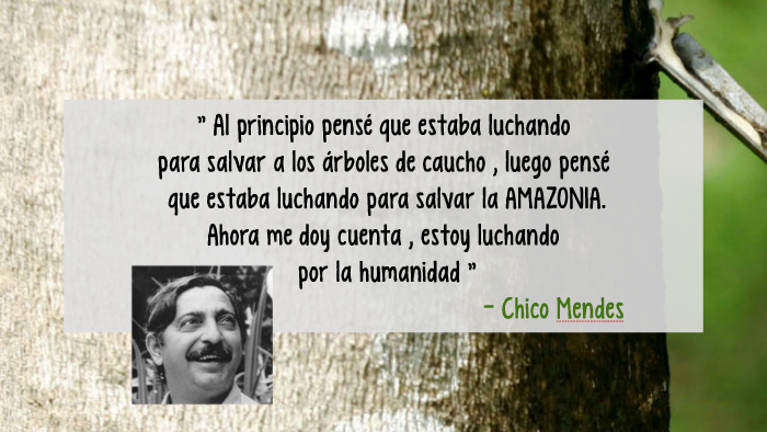 Chico Mendes By Gaby Vera Mazuelos On Prezi