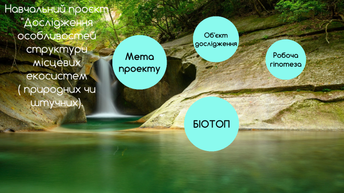 Цікаві факти про миколая