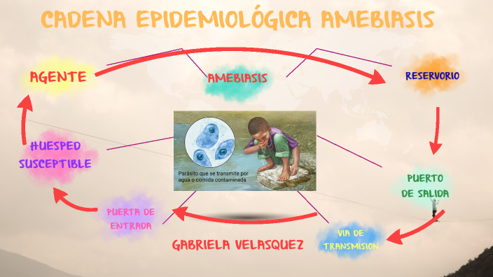 CADENA EPIDEMIOLÓGICA AMEBIASIS by Gabriela Velasquez Ramirez on Prezi