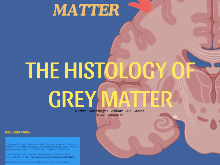 THE HISTOLOGY OF GREY MATTER by Nethmi Ranasinghe on Prezi