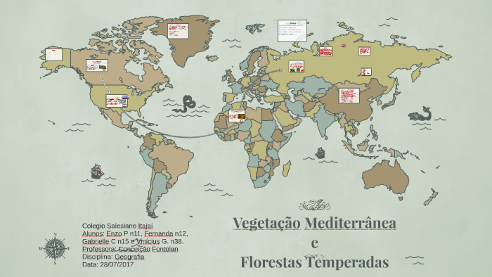 Brasil: Vegetação - Disciplina - Geografia