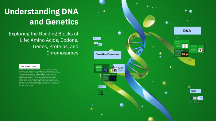 Understanding DNA and Genetics by Aisley Alexander on Prezi