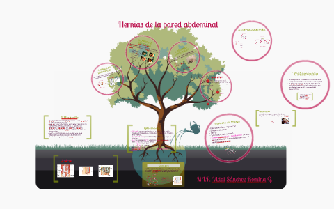 Hernias de la pared abdominal by Romina Vidal on Prezi