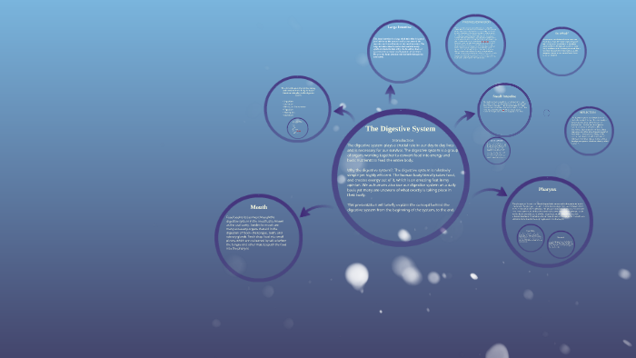 The Digestive System by on Prezi