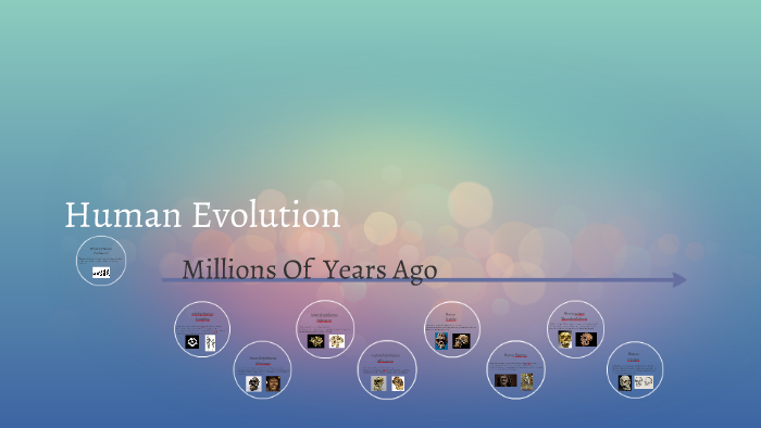 Human Evolution by Nikita McKenzie on Prezi