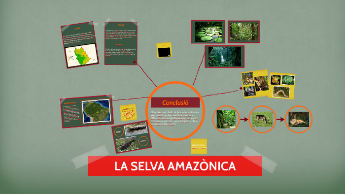 LA SELVA AMAZÒNICA by on Prezi