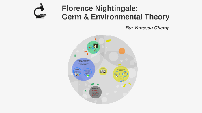 florence nightingale theory