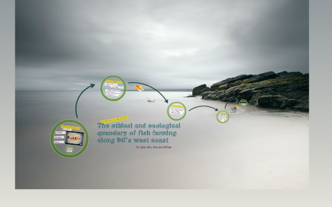 Atlantic salmon picture