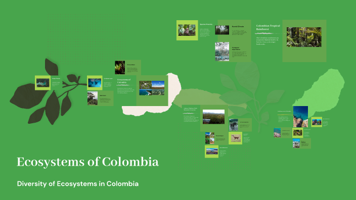 Ecosistemas de Colombia by IVAN ANDRES MONTALVO SUAREZ on Prezi