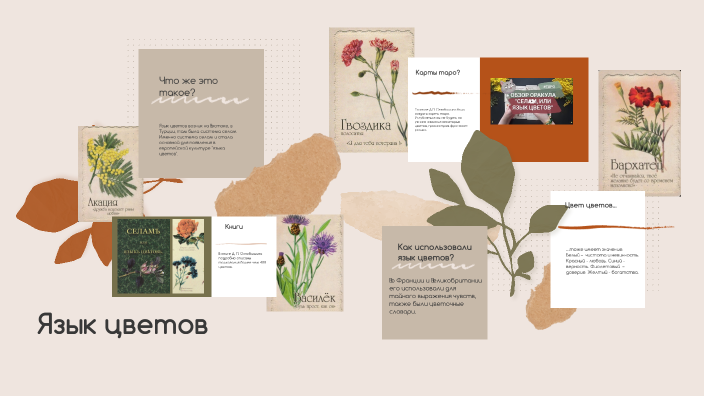 Язык цветов by Зухра Магомедова on Prezi