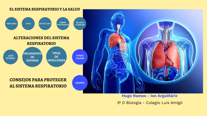 EL SISTEMA RESPIRATORIO by hugo ramos on Prezi