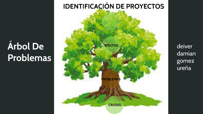 árbol de problemas by DEIVER DAMIAN GOMEZ UREÑA on Prezi