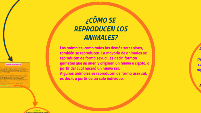 ¿CÒMO SE REPRODUCEN LOS ANIMALES? by LIN FABIAN MARTINEZ