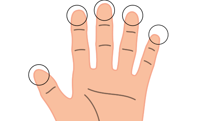 Five Fingers of Evolution by Sahil Thind on Prezi Next