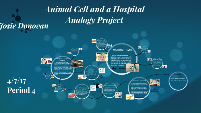 Cell Analogy Project By Josie Donovan