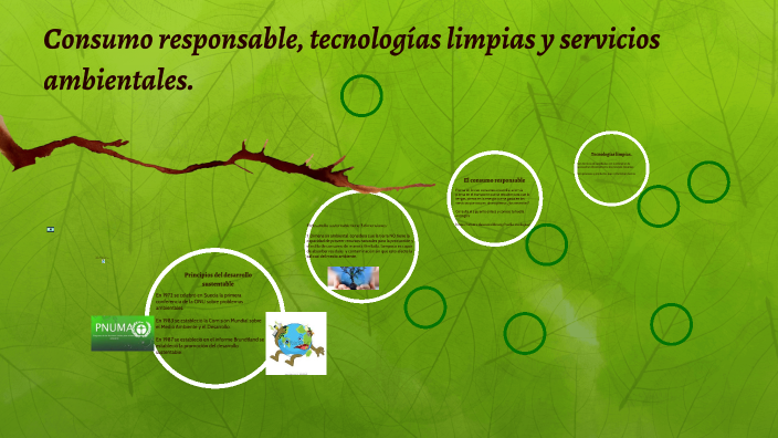 Consumo responsable, tecnologías limpias y servicios ambientales by