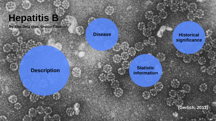 Hepatitis B by Gracie Eastman on Prezi