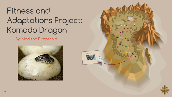 Fitness And Adaptations Project Komodo Dragon By Madison Fitz prezi