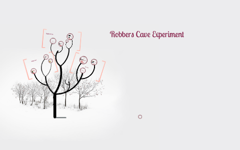 robbers cave experiment pdf