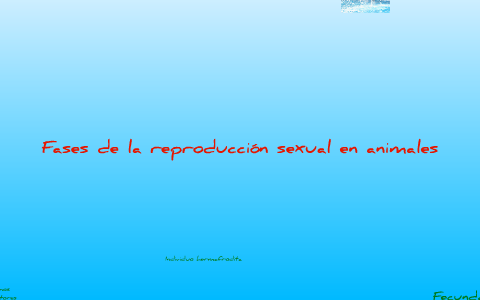 Fases de la reproduccion sexual de animales by enrique vela on Prezi