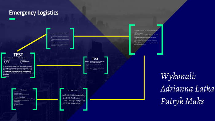 emergency logistics case study