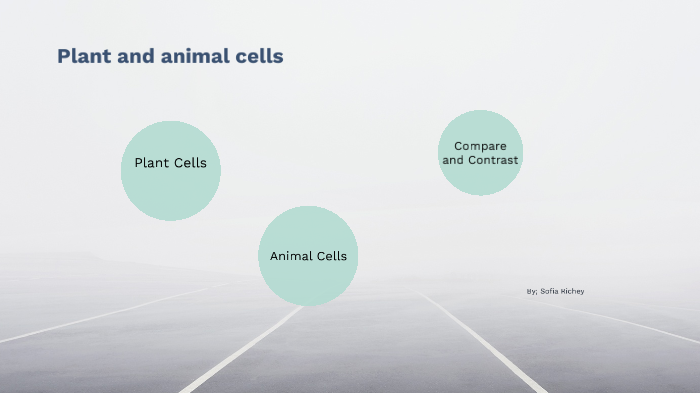 Plant and Animal cells by SOFIA R on Prezi