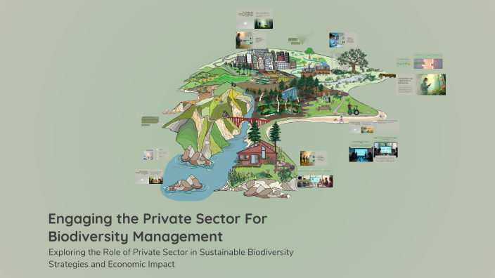 Engaging the Private Sector For Biodiversity Management by Mbah Peggy ...