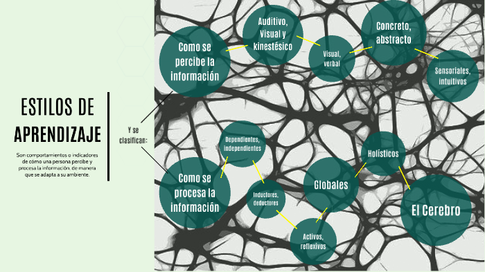 Estilos de aprendizaje by Abraham Herrera on Prezi