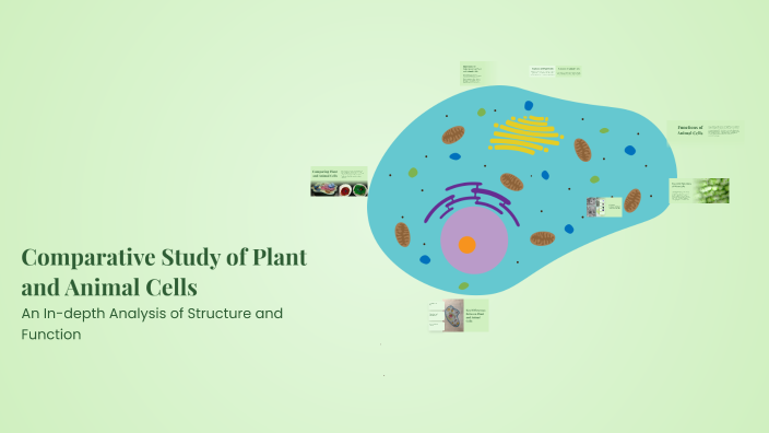 Comparative Study of Plant and Animal Cells by Bently Wood on Prezi