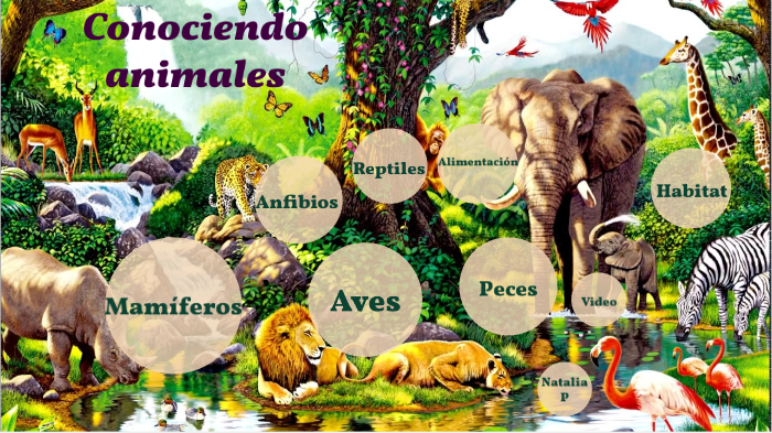 Conociendo el reino animal by Natalia Peralta on Prezi