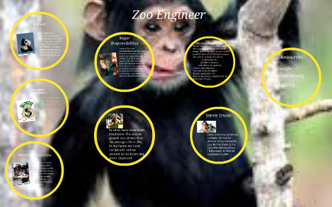 Zoo Engineers by