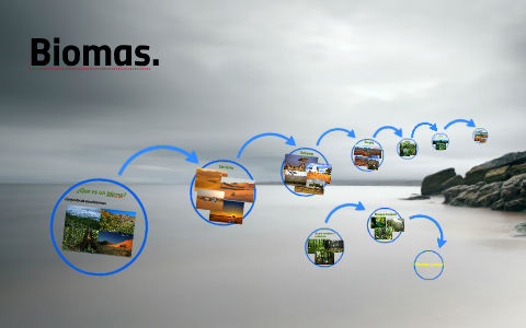 Biomas De Colombia. by Mariana Ocampo on Prezi