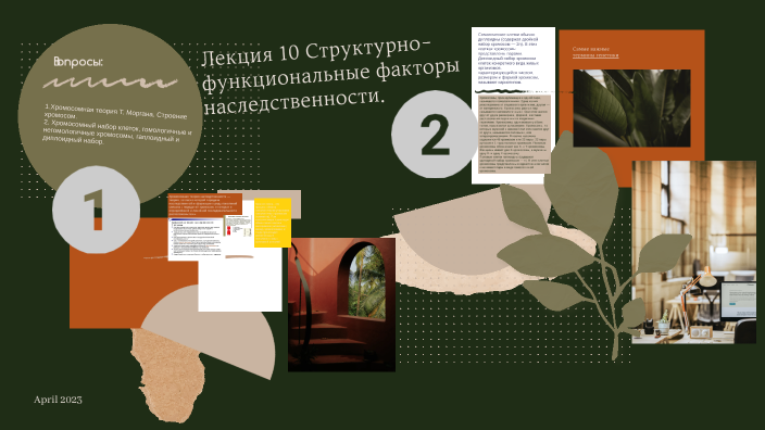 Структурная организация наследственного материала. Уровни организации генетического аппарата. Структурно функциональные факторы наследственности лекция. Уровни организации наследственного материала. Уровни организации генетического аппарата.