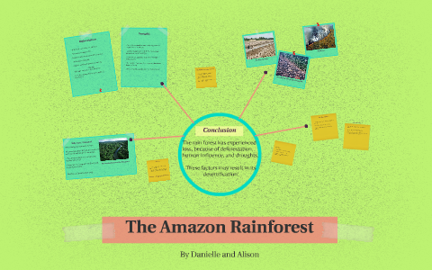 The Amazon Rainforest by Alison Dobslaw on Prezi